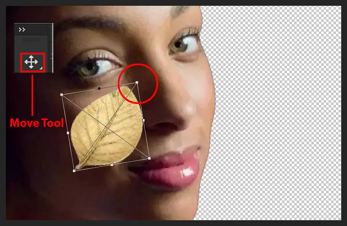 Merge photos with graphics step 3