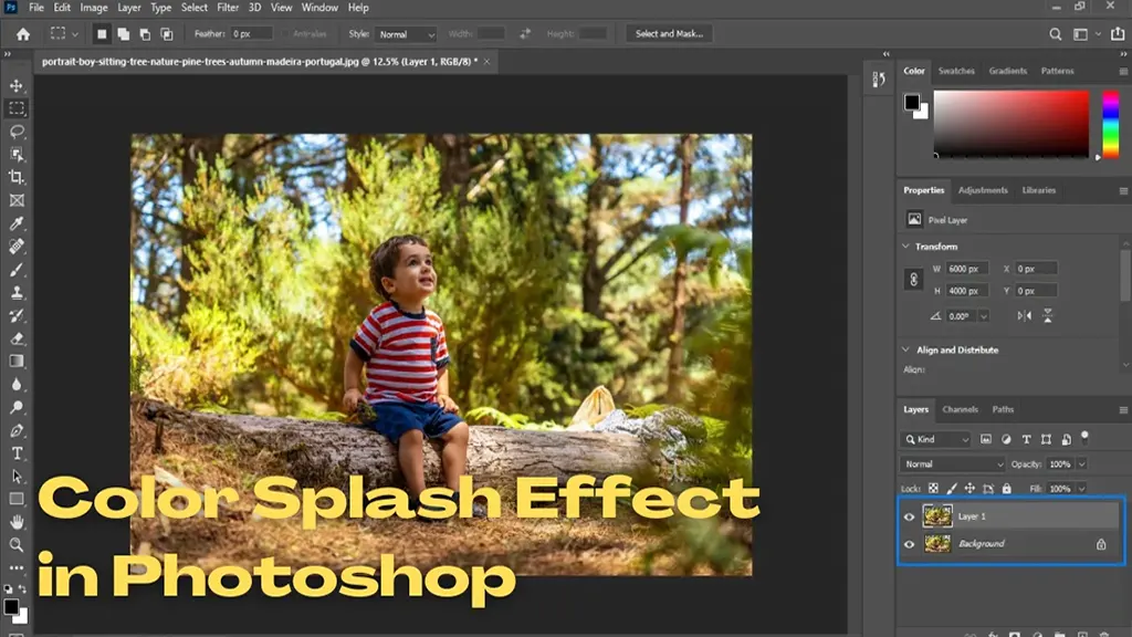 Color Splash Effect