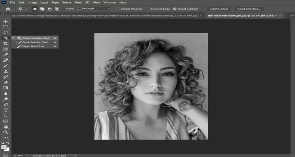 Next, use the Object Selection tool to select all the hair in your photo