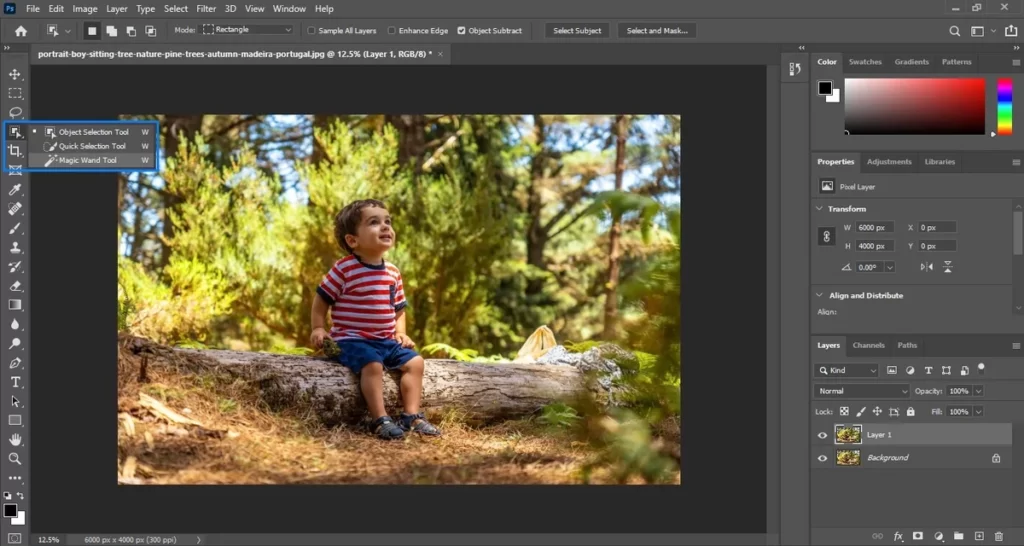On the duplicate layer