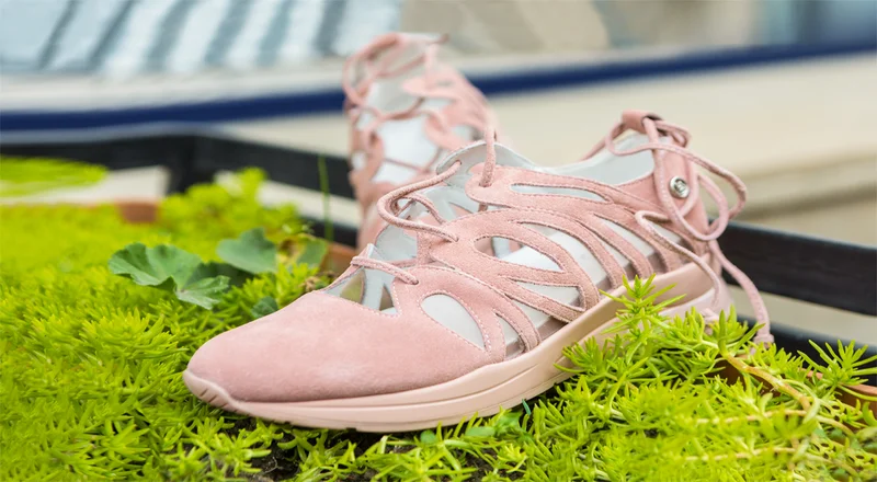 shoes photograph 