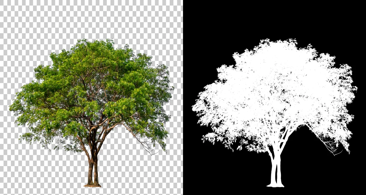 clipping mask