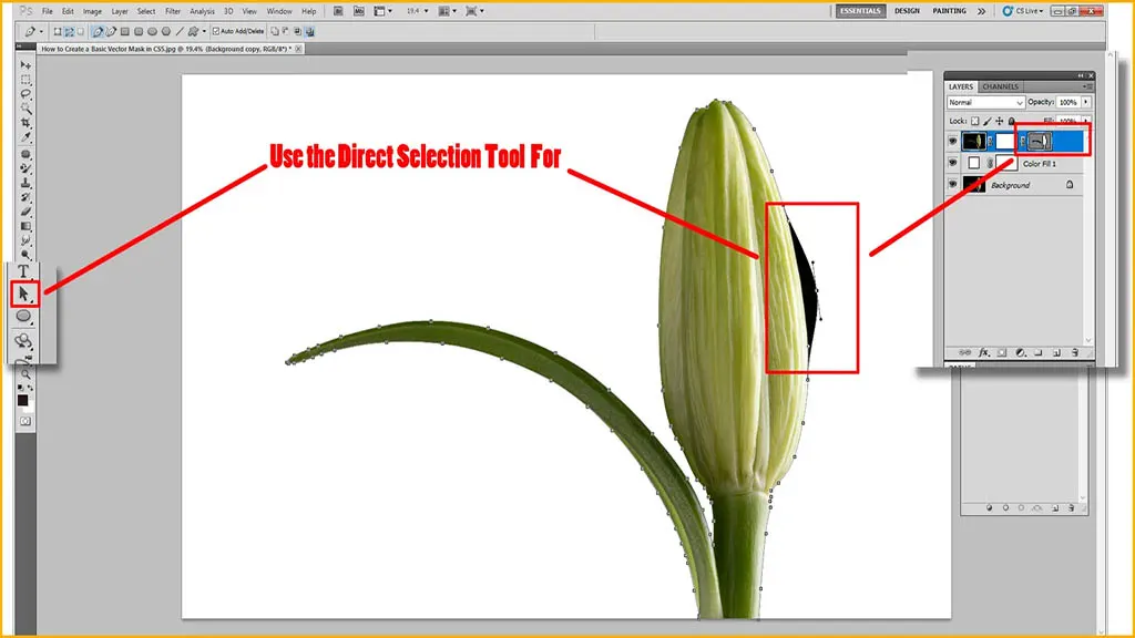 Use the Direct Selection Tool for Basic masking in Photoshop CS5