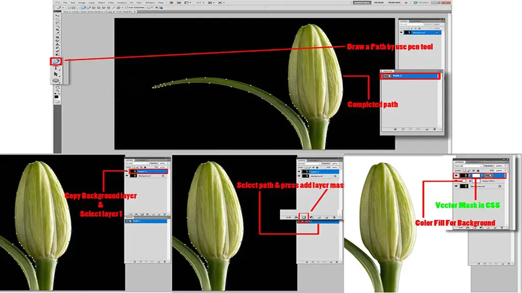 Draw a Path for Basic masking in Photoshop CS5