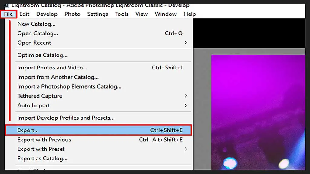 Step 5: Export Your Edited Photos