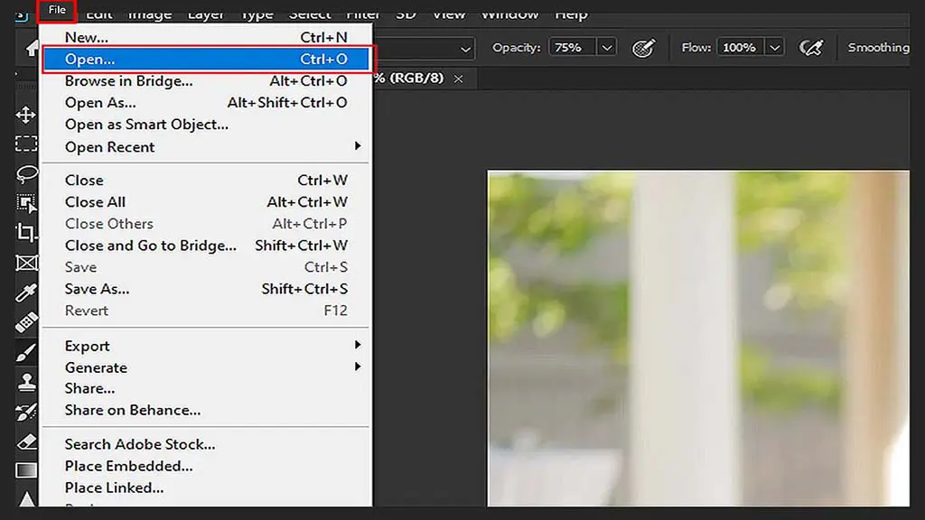Step 1 – Open the Software