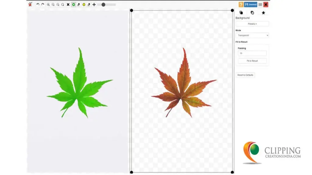 Tools and Software for Background Removal