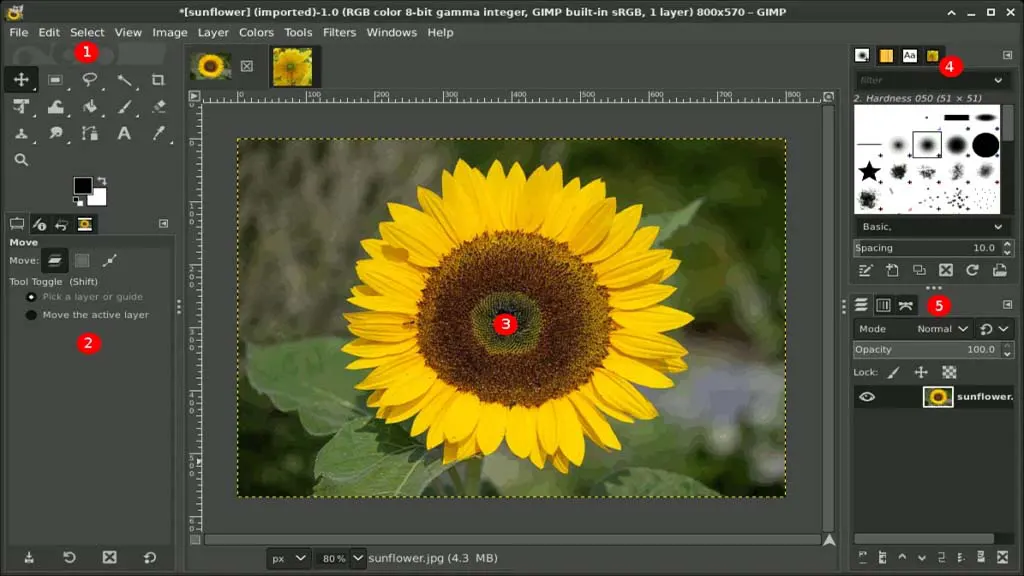 GIMP image editing tools