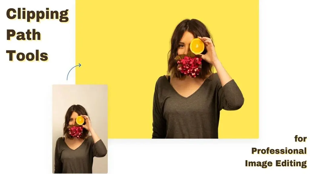 The Top 5 Clipping Path Tools for Professional Image Editing