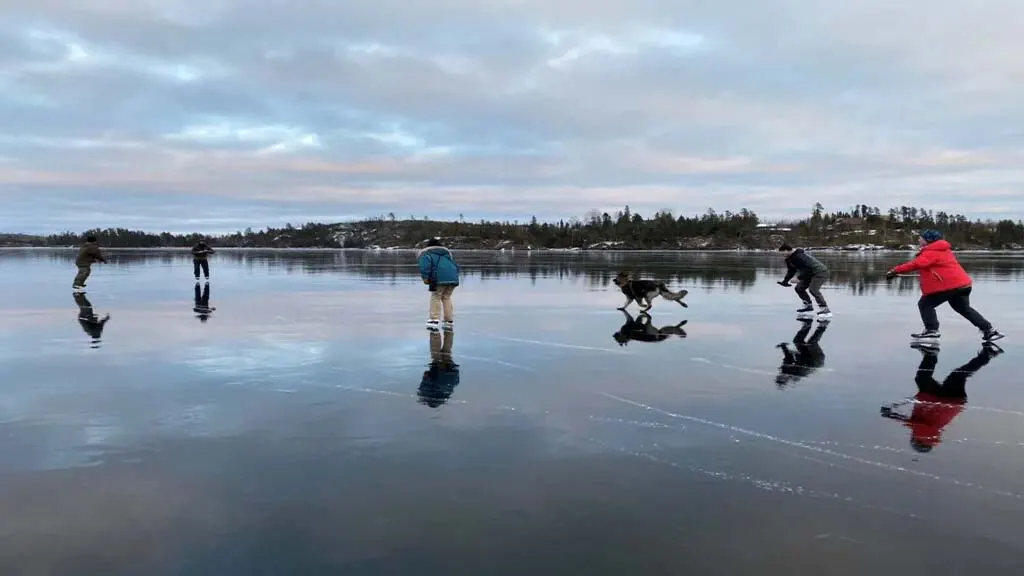 Ice Reflections