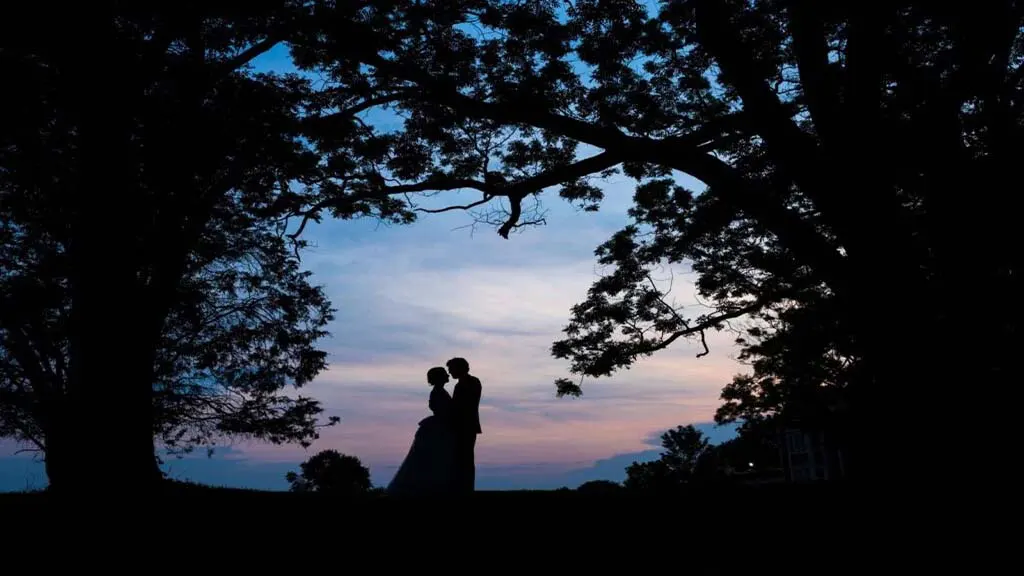 Silhouettes in Twilight