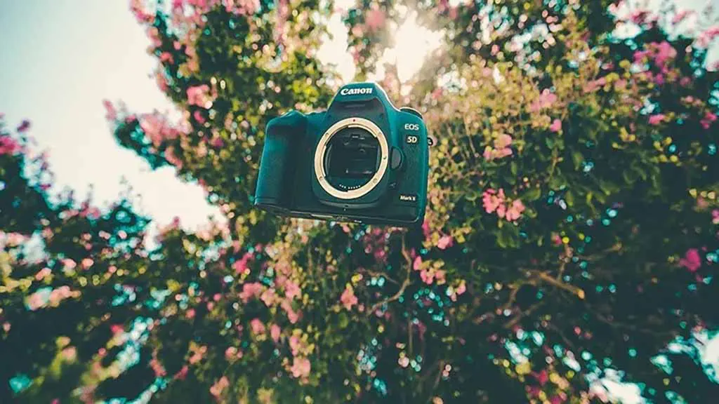 User-Friendly Product Photo Editing Tools