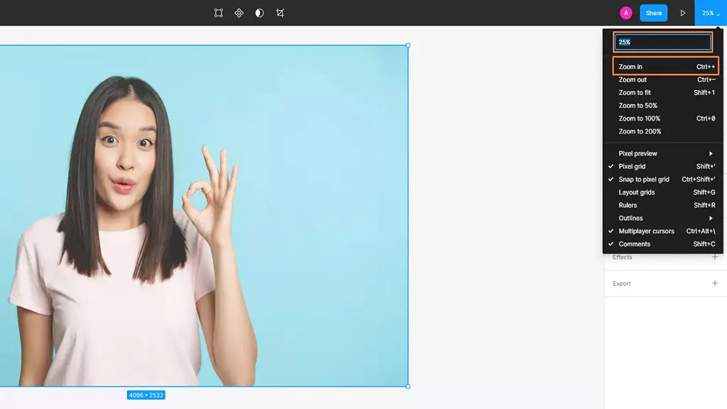 Step 2: Zoom the Image